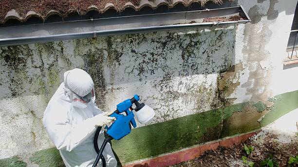 Top rated local Mold Remediation specialists in Wenonah, NJ